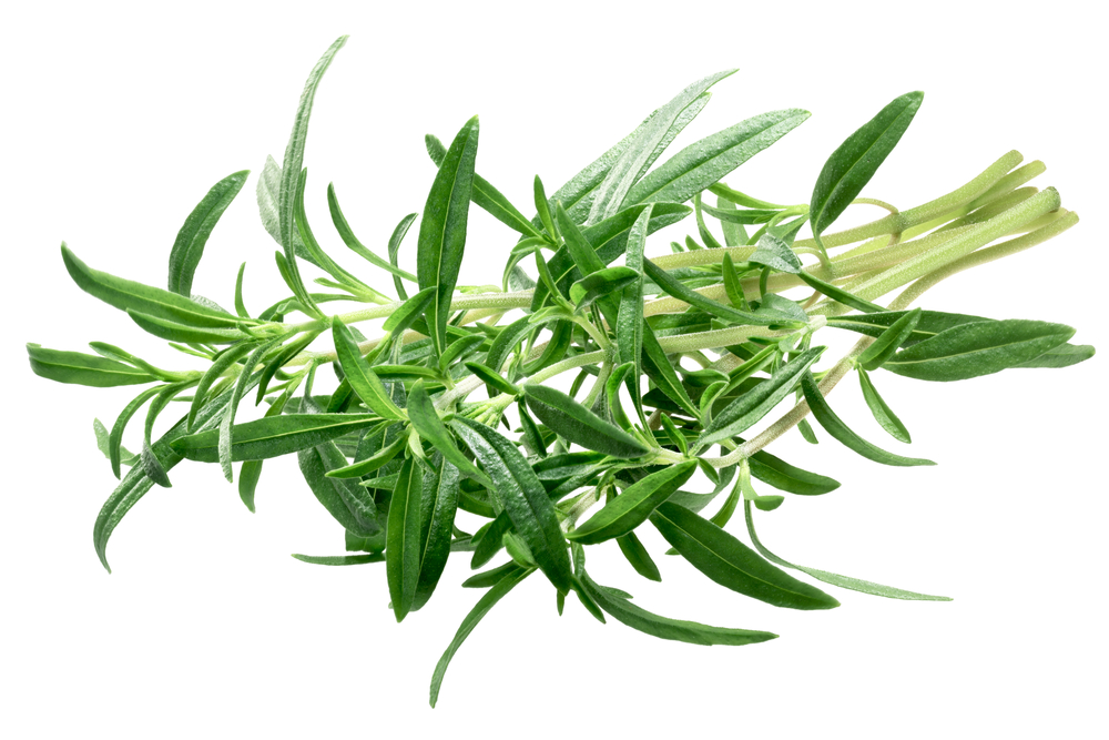 צילום: Shutterstock